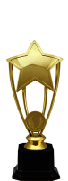 Награда Звезда 2490-200-100