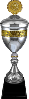 Кубок Юстиция 1,2,3 место 4454-560-202