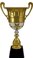 Кубок Флейм 4423-490-100