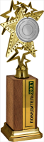 Награда из дерева с эмблемоносителем 2850-300-100