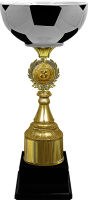 Кубок Сантос 1,2,3 место (чаша керамика) 4367-380-103