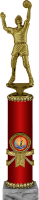 Награда Волейбол 2007-330-010