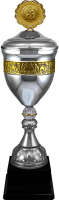 Кубок Юстиция 1,2,3 место 4454-560-203
