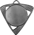Медаль Шервинта