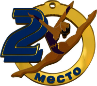 Акриловая медаль Гимнастика 2 место 1779-001-002