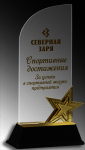 Акриловая награда с цветной печатью 1608-220-УФ1