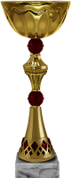 Кубок Карлота 4380-340-102
