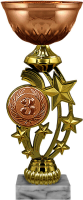 Кубок Рио 1,2,3 место 6127-250-300