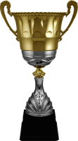 Кубок Гастон 4502-480-000