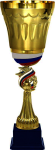Кубок Чемпион