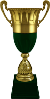 Кубок Сандро 8764-490-105