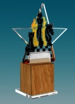 Акриловая награда Шахматы 1703-002-005