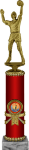 Награда Волейбол 2007-330-010
