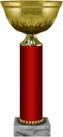 Кубок Рокси 5925-200-002