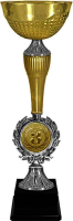 Кубок Ашот 1,2,3 место 4275-370-103