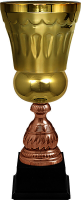 Кубок Ахмет 4636-400-300