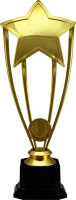 Награда Звезда 2490-250-100