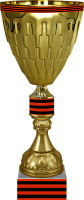 Кубок Одесса 7213-004-087