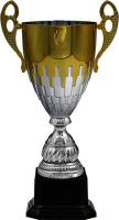 Кубок Флинт 4707-480-120