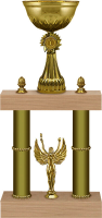 Кубок Сандра 1,2,3 место 4272-510-100