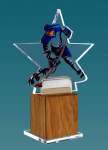 Акриловая награда Хоккей 1703-002-002