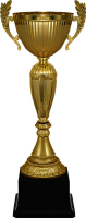 Кубок Рамиль 4560-380-109