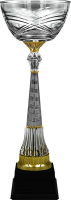 Кубок Катарина 4493-450-200