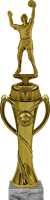 Награда Данте (волейбол) 3022-380-100