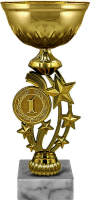 Кубок Рио 1,2,3 место 4669-290-100