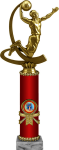 Награда Баскетбол 2007-320-006