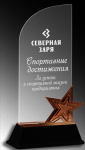 Акриловая награда с лазерной гравировкой 1608-220-ГР3