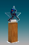 Акриловая награда Хоккей 1703-001-002