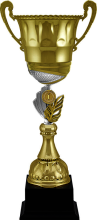 Кубок Гюнтер 1,2,3 место 4475-490-101