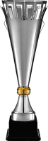 Кубок Чита 6098-570-200
