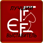 Значок с акриловой вставкой 1063-150-000