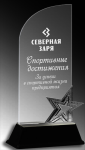 Акриловая награда с лазерной гравировкой 1608-220-ГР2