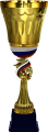 Кубок Чемпион 4223-100
