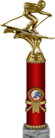 Награда Лыжный спорт (лыжи) 2007-300-003