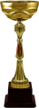 Кубок Тэмпли 4178-105