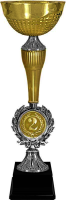Кубок Ашот 1,2,3 место 4275-370-102