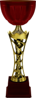 Кубок Крэйг 6132-330-102