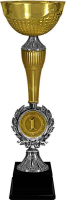 Кубок Ашот 1,2,3 место 4275-370-101