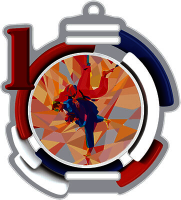 Акриловая медаль Самбо 1, 2, 3 место 1785-001-001