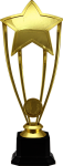 Награда Звезда 2490-250-100