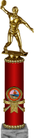Награда Настольный теннис 2007-300-004