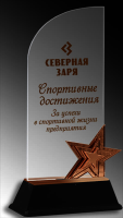 Акриловая награда с цветной печатью 1608-220-УФ3