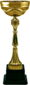 Кубок Тэмпли