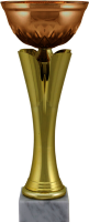 Кубок Аурика 8635-300-300