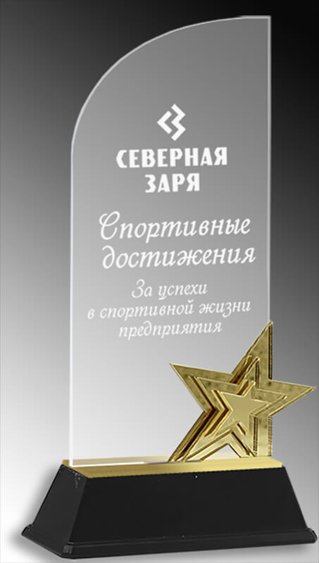 Акриловая награда с лазерной гравировкой 1608-220-ГР1