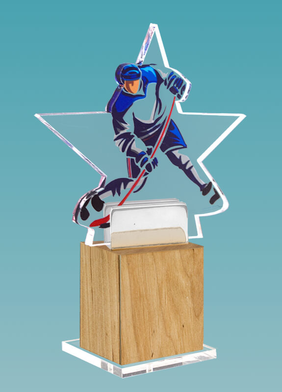 Акриловая награда Хоккей 1703-002-002